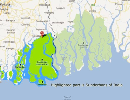 CLTS Foundation Global’s field visit to Bali Islands, Sundarbans in West Bengal, India